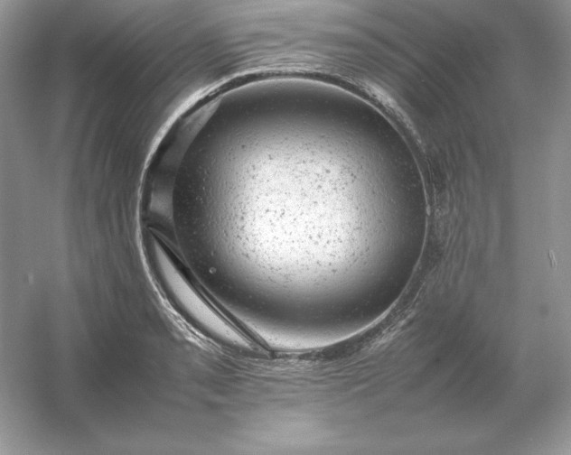 X0000053151085200507251835