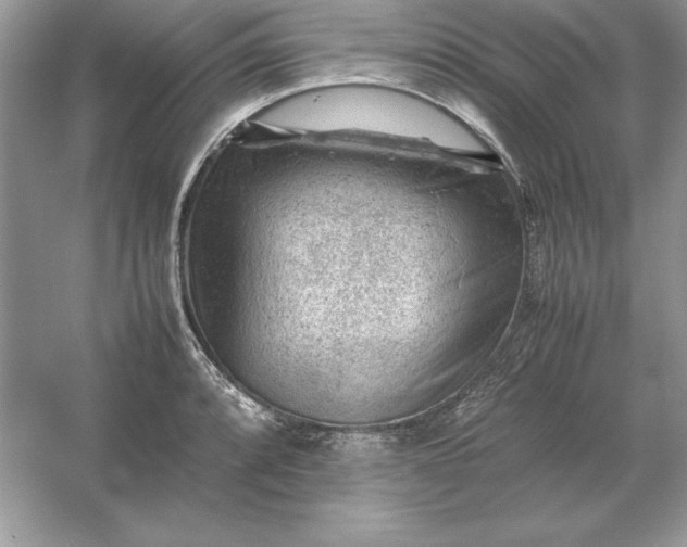 X0000053151088200507251835