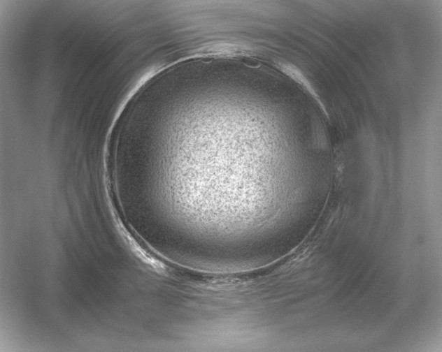 X0000053151091200507251835