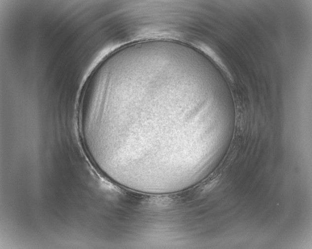 X0000053151094200507251835