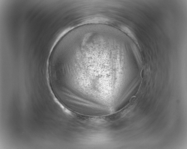 X0000053151103200507251835