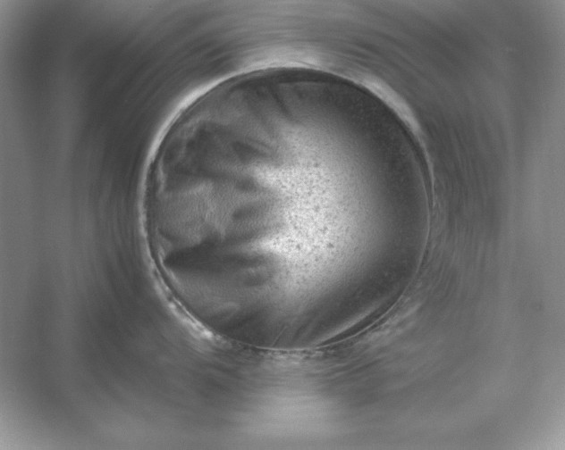 X0000053151104200507251835