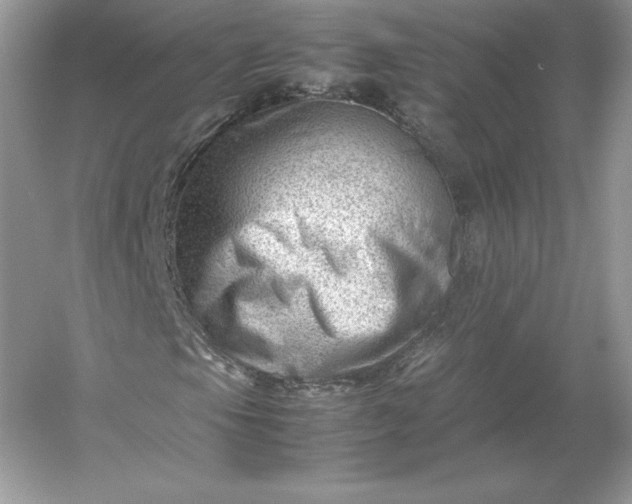 X0000053151105200507251834