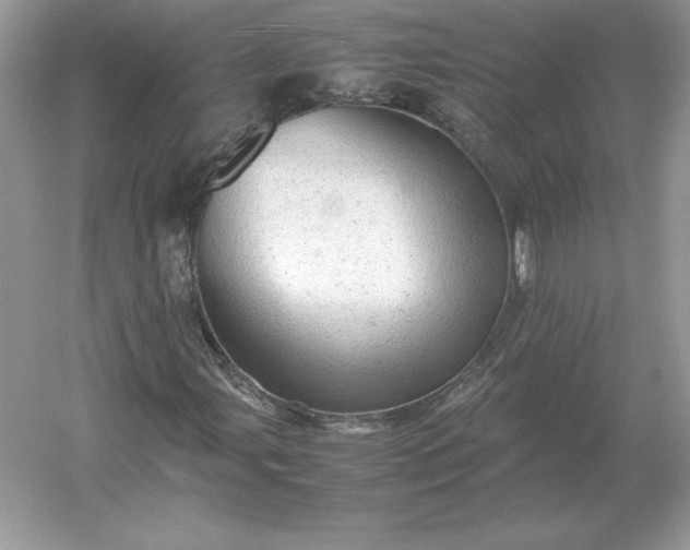 X0000053151107200507251834