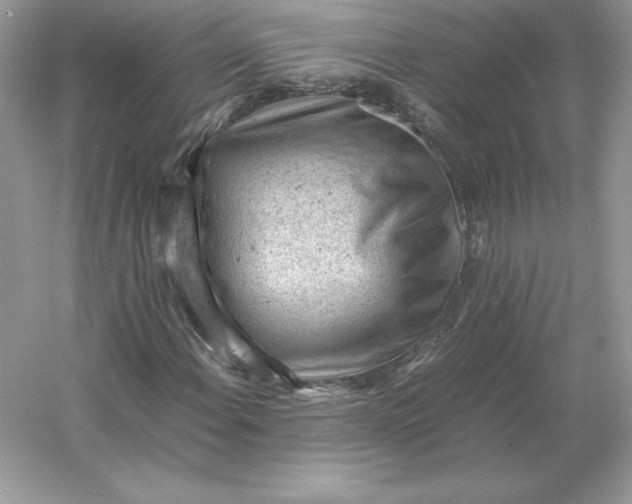 X0000053151108200507251834