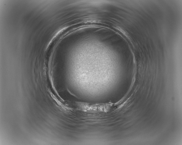 X0000053151115200507251834
