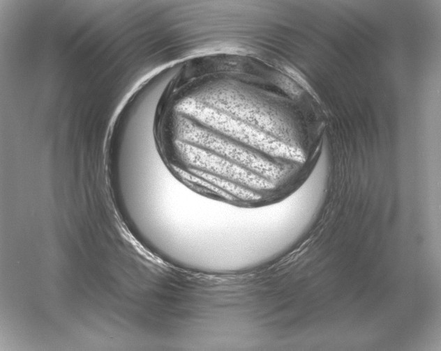 X0000053151116200507251834