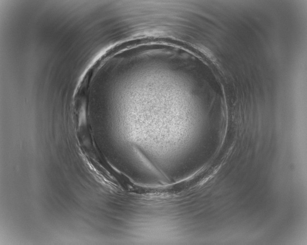 X0000053151118200507251834
