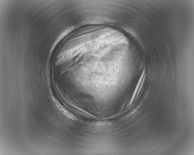 X0000053151122200507251834