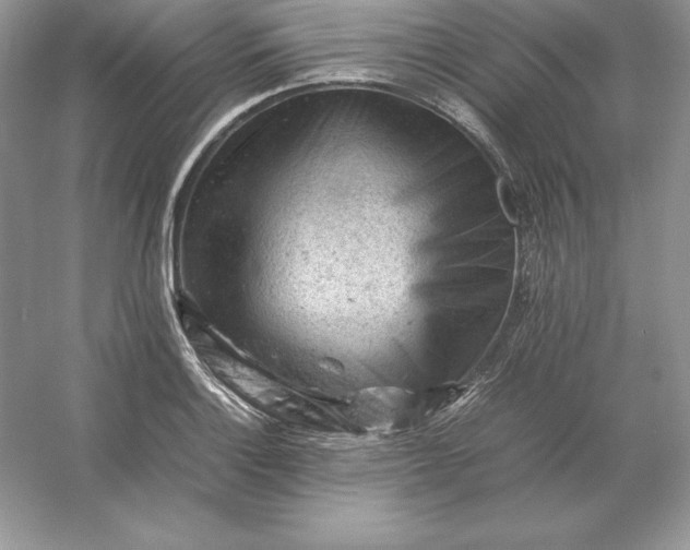 X0000053151132200507251835