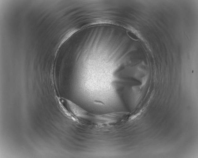 X0000053151137200507251835