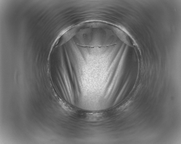 X0000053151145200507251835