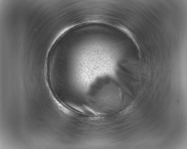 X0000053151147200507251835