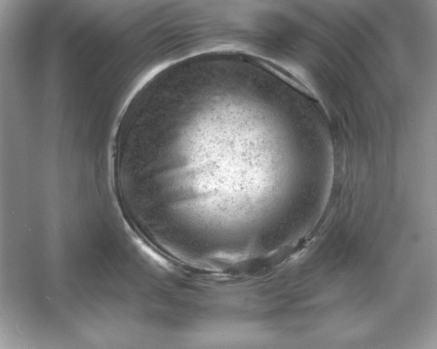 X0000053151151200507251835