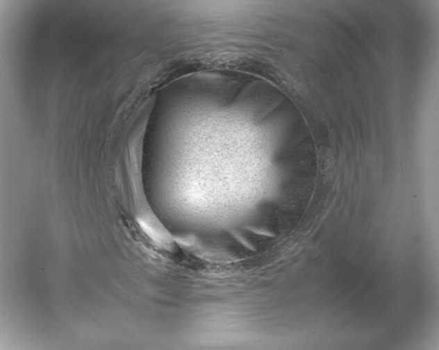 X0000053151153200507251834