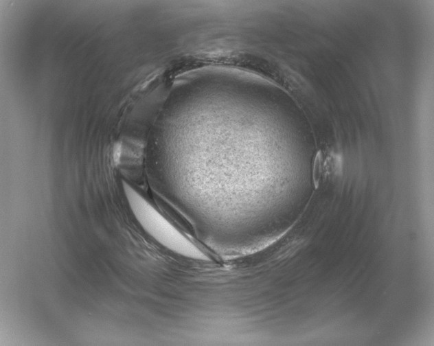 X0000053151156200507251834