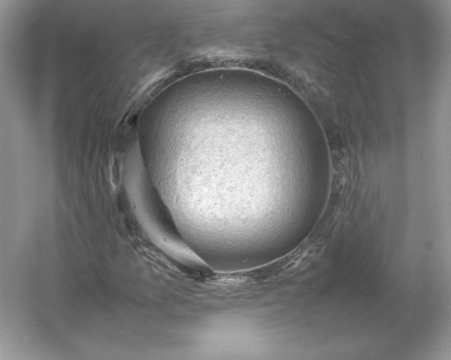 X0000053151157200507251834