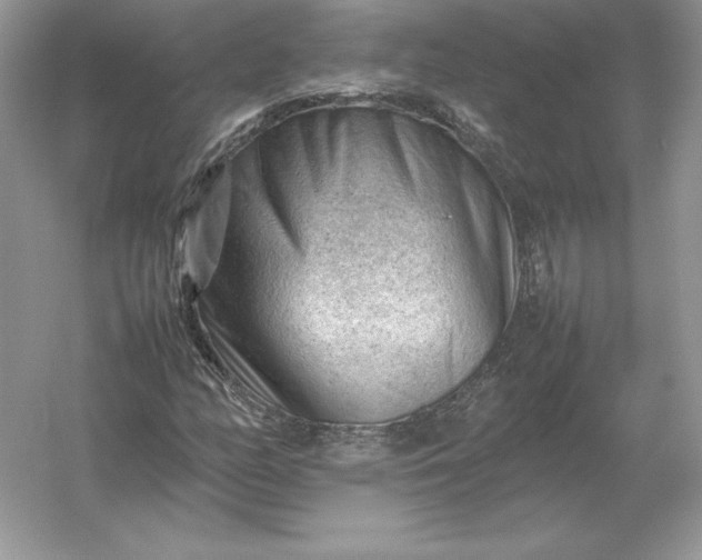 X0000053151158200507251834