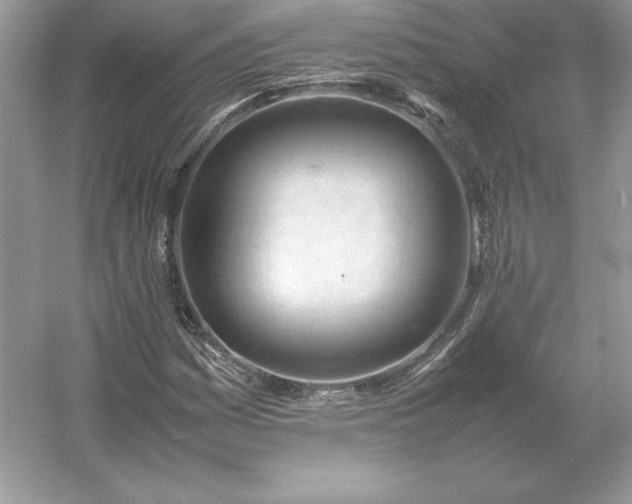 X0000053151161200507251834