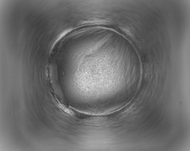 X0000053151163200507251834
