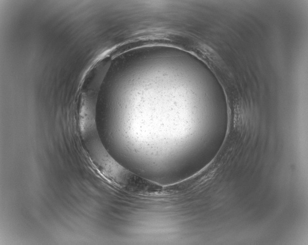 X0000053151164200507251834
