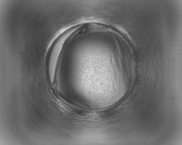 X0000053151167200507251834