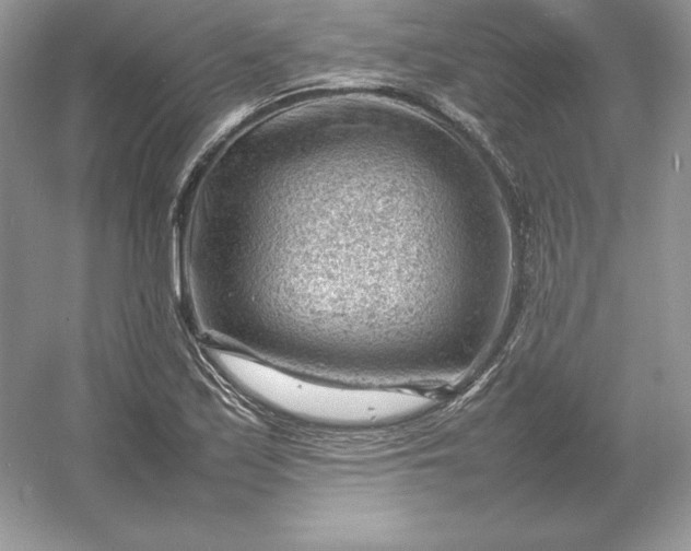 X0000053151171200507251834