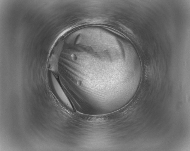 X0000053151174200507251834