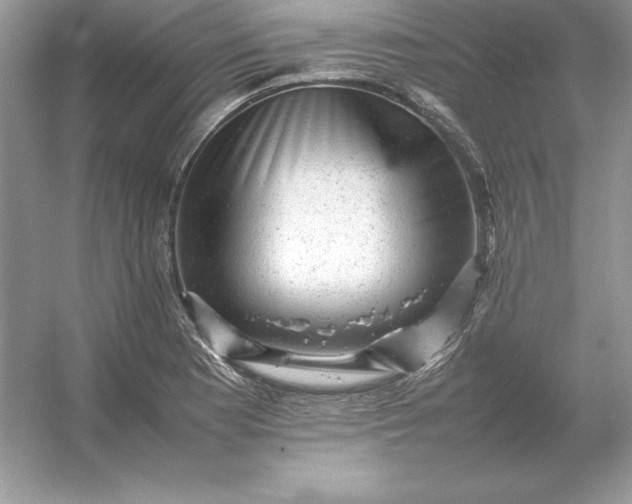 X0000053151177200507251834