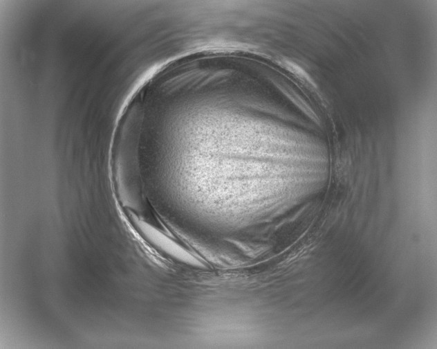 X0000053151183200507251834