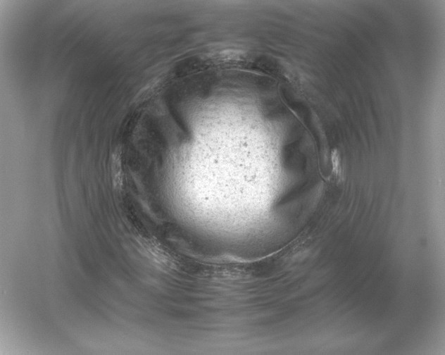 X0000053151203200507251833