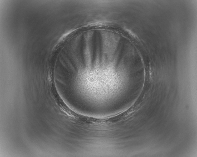 X0000053151206200507251833