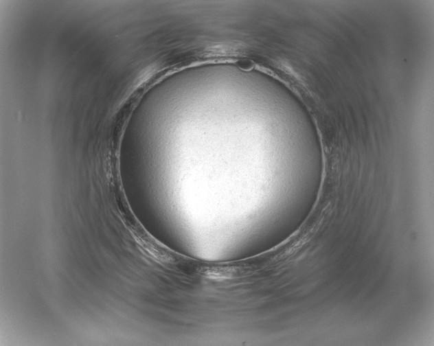 X0000053151211200507251833