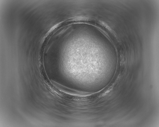 X0000053151213200507251833