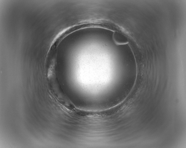 X0000053151214200507251833