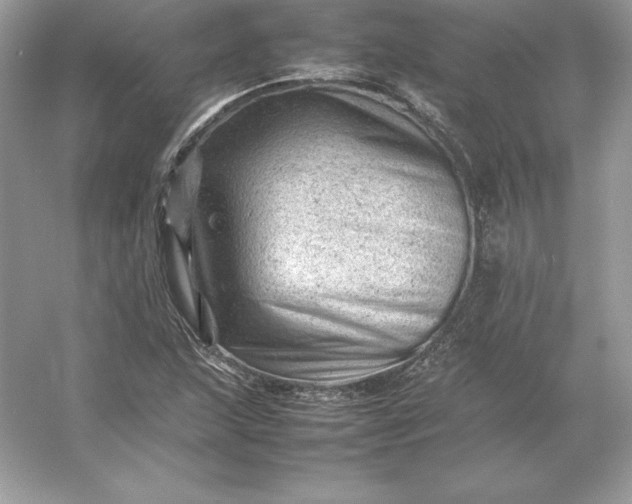 X0000053151215200507251833