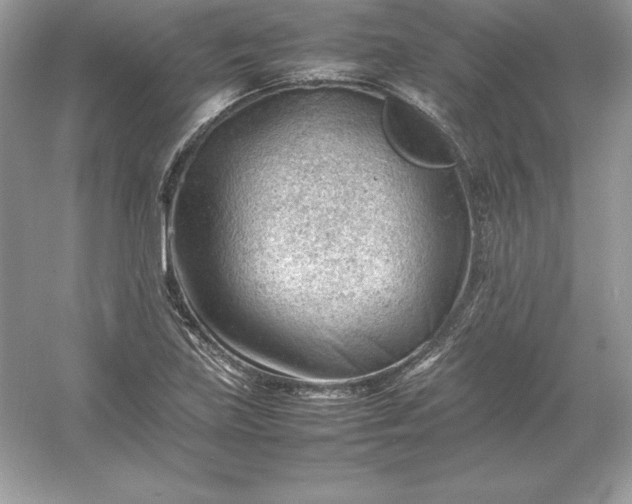 X0000053151219200507251833