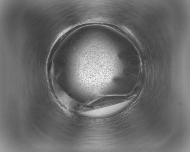 X0000053151230200507251833