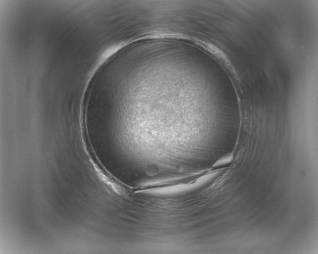 X0000053151231200507251833