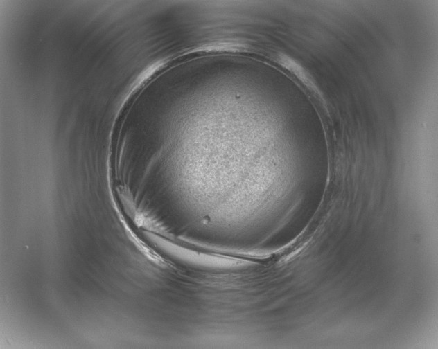 X0000053151237200507251833