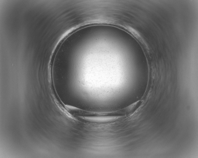 X0000053151238200507251833