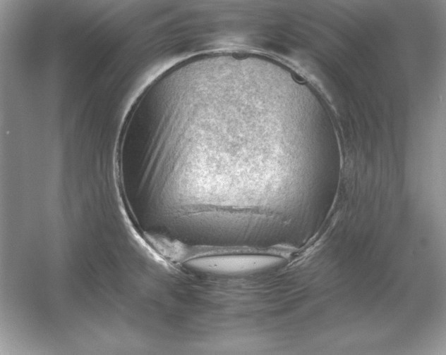 X0000053151239200507251833