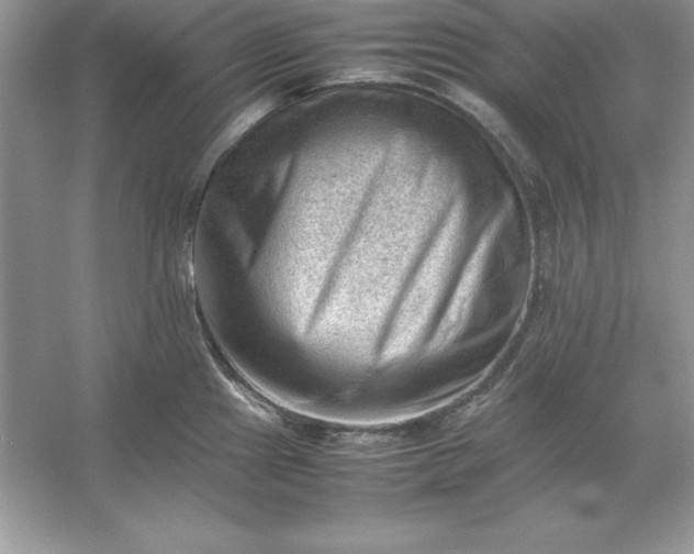 X0000053151241200507251833