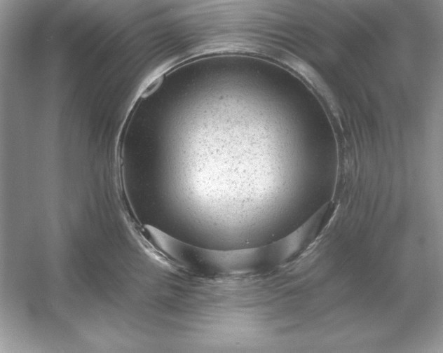 X0000053151242200507251833
