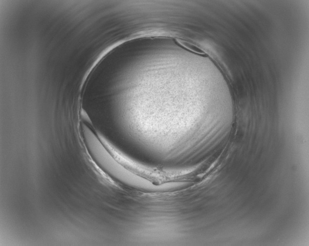 X0000053151244200507251833