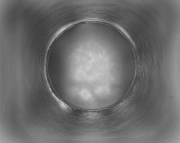 X0000053151245200507251833
