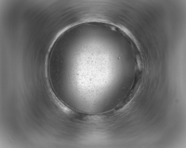 X0000053151246200507251833