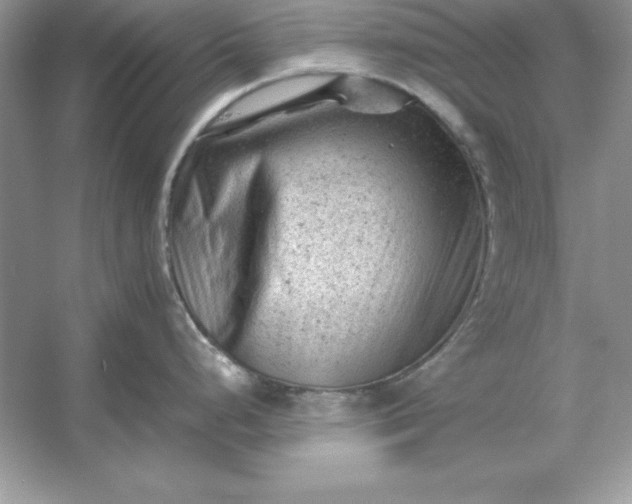 X0000053151248200507251833