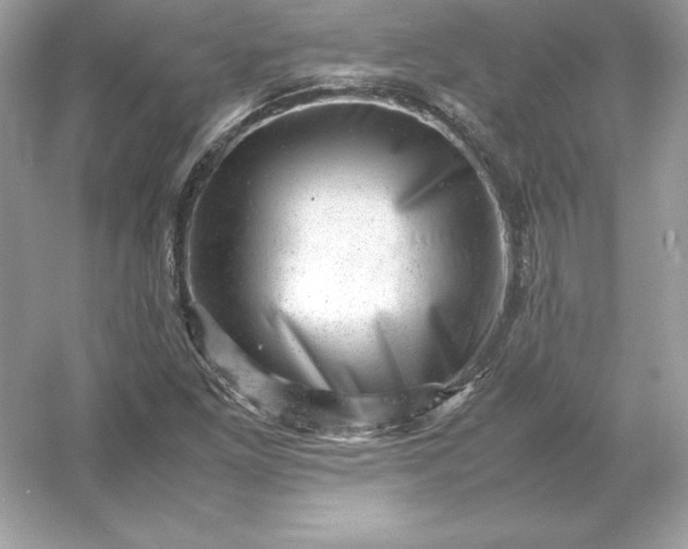 X0000053151261200507251832