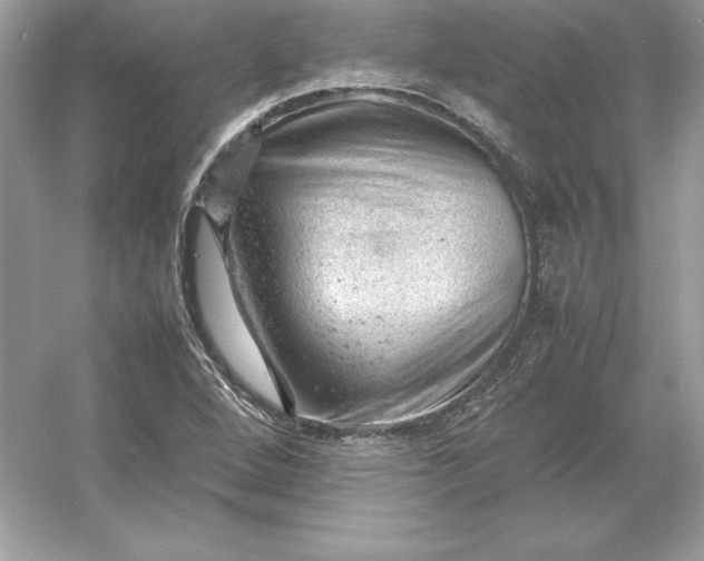 X0000053151264200507251832